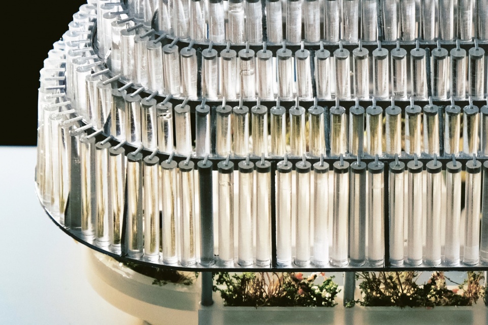 pavilion lucida by deep origin lab