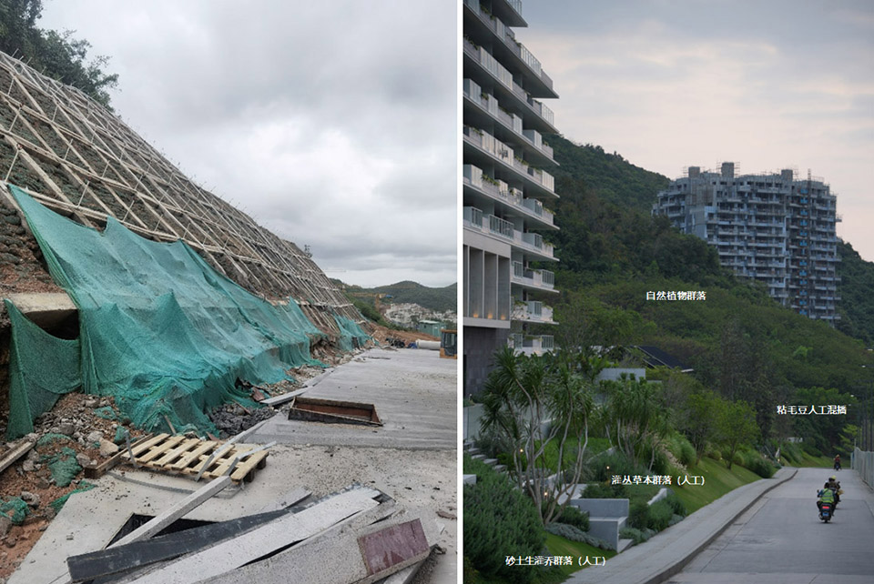 aranya sanya by wtd group