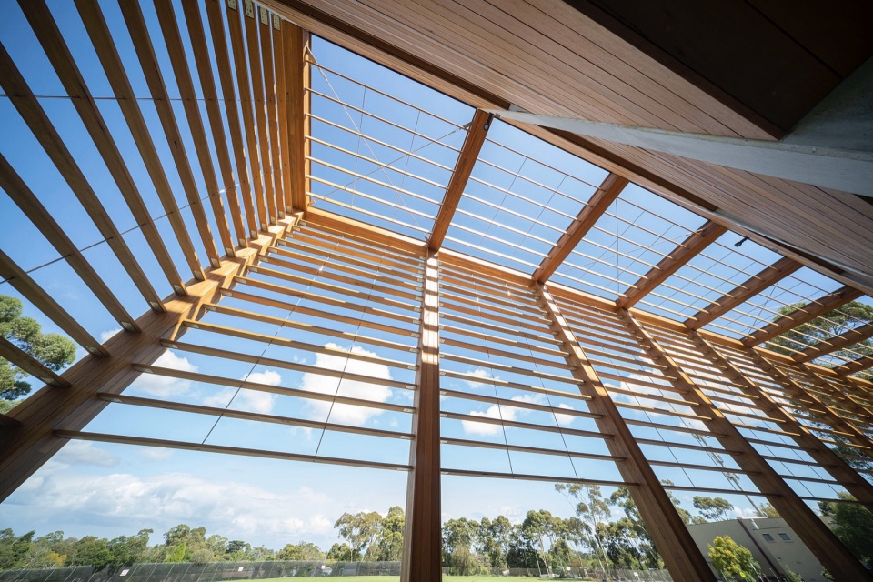 peninsula grammar alatus by fjcstudio
