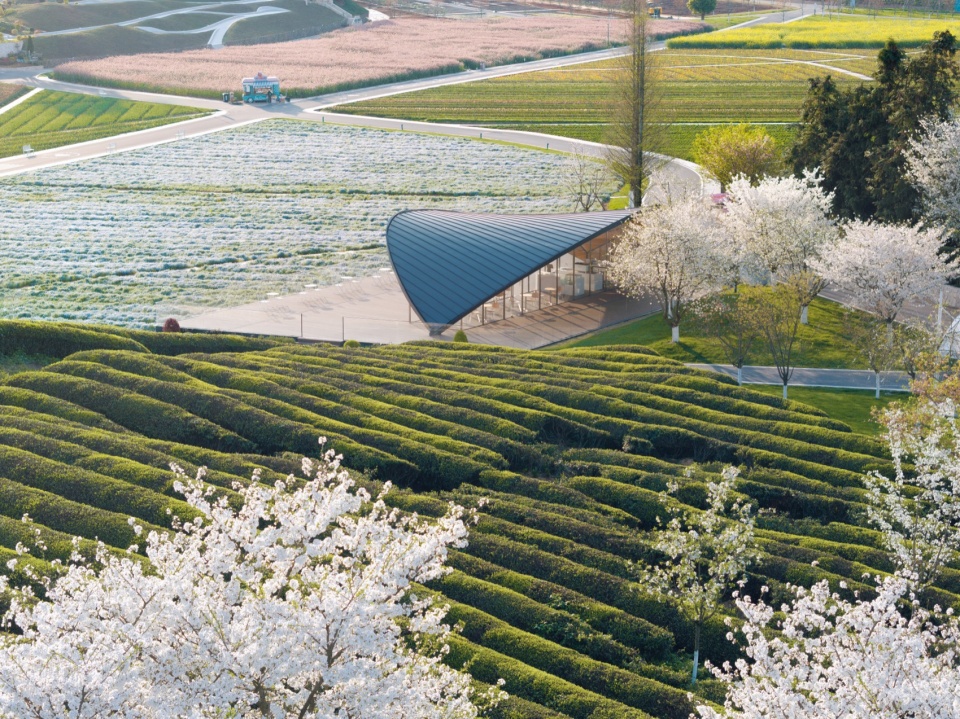 flower town leaf cafe by kfs architects shanghai