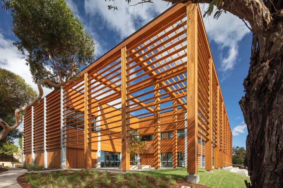peninsula grammar alatus by fjcstudio