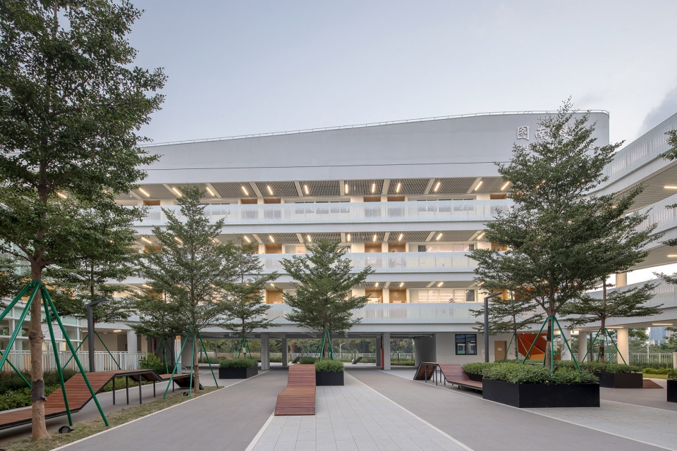 sustech affiliated experimental school by cube design