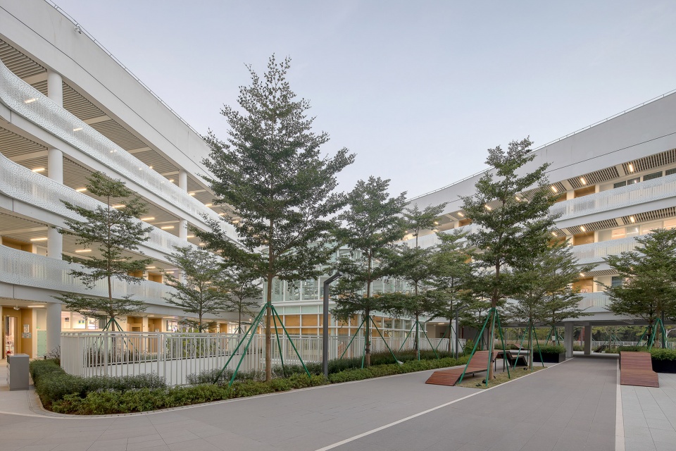sustech affiliated experimental school by cube design