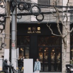 Halation光晕灵感西厨，上海 / RooMoo