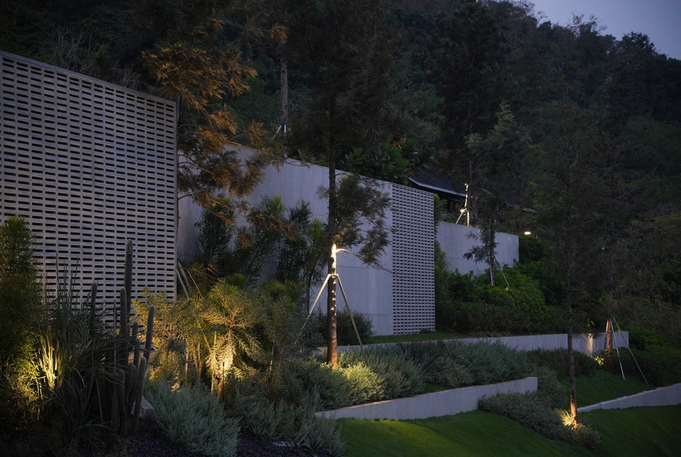 aranya sanya by wtd group
