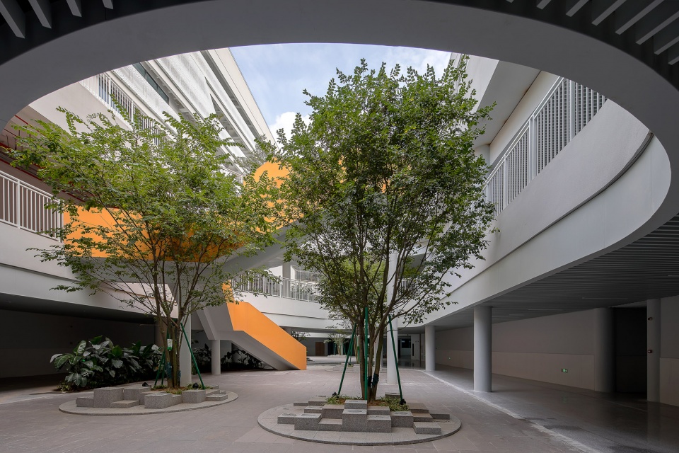 sustech affiliated experimental school by cube design