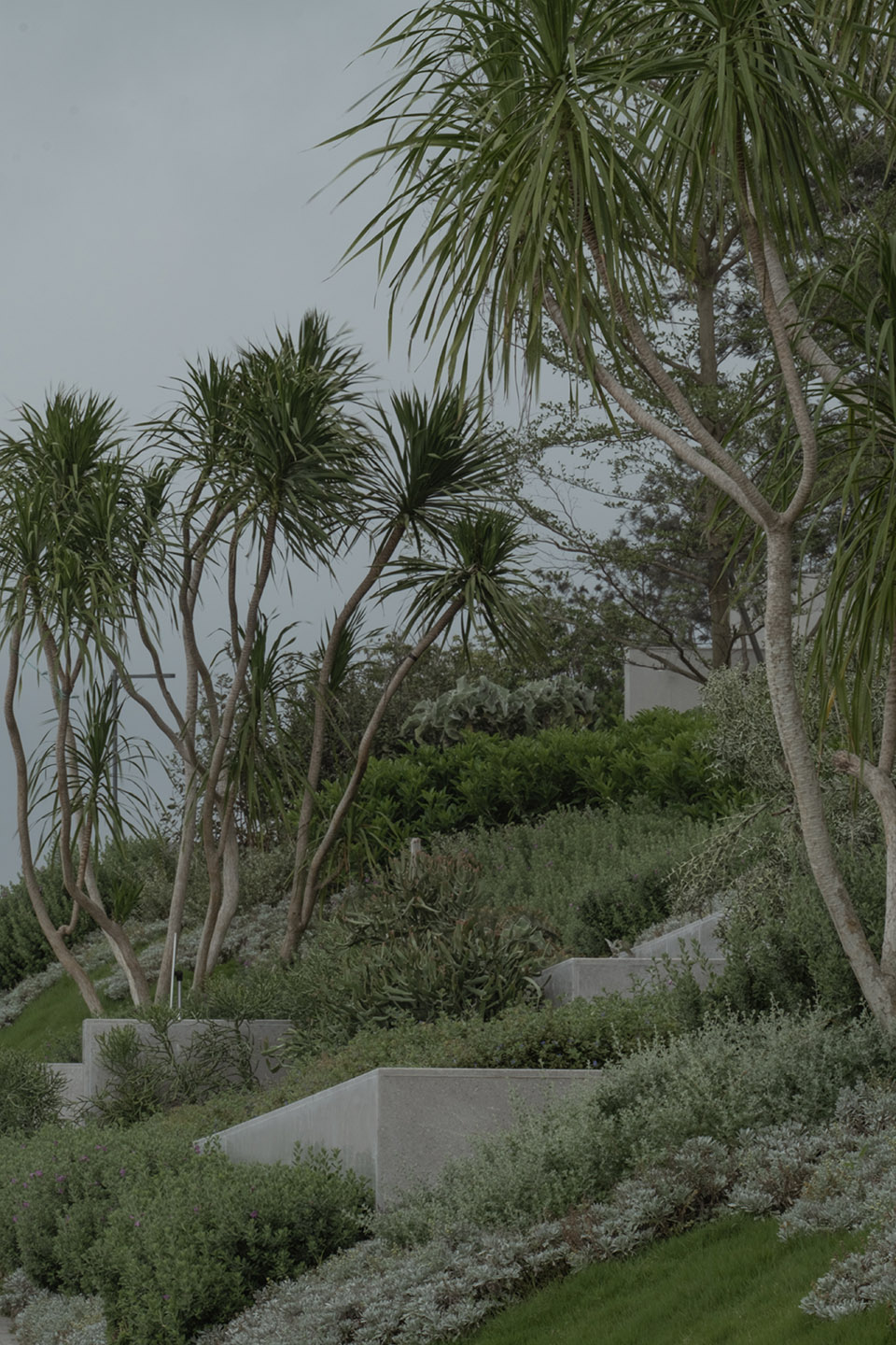 aranya sanya by wtd group