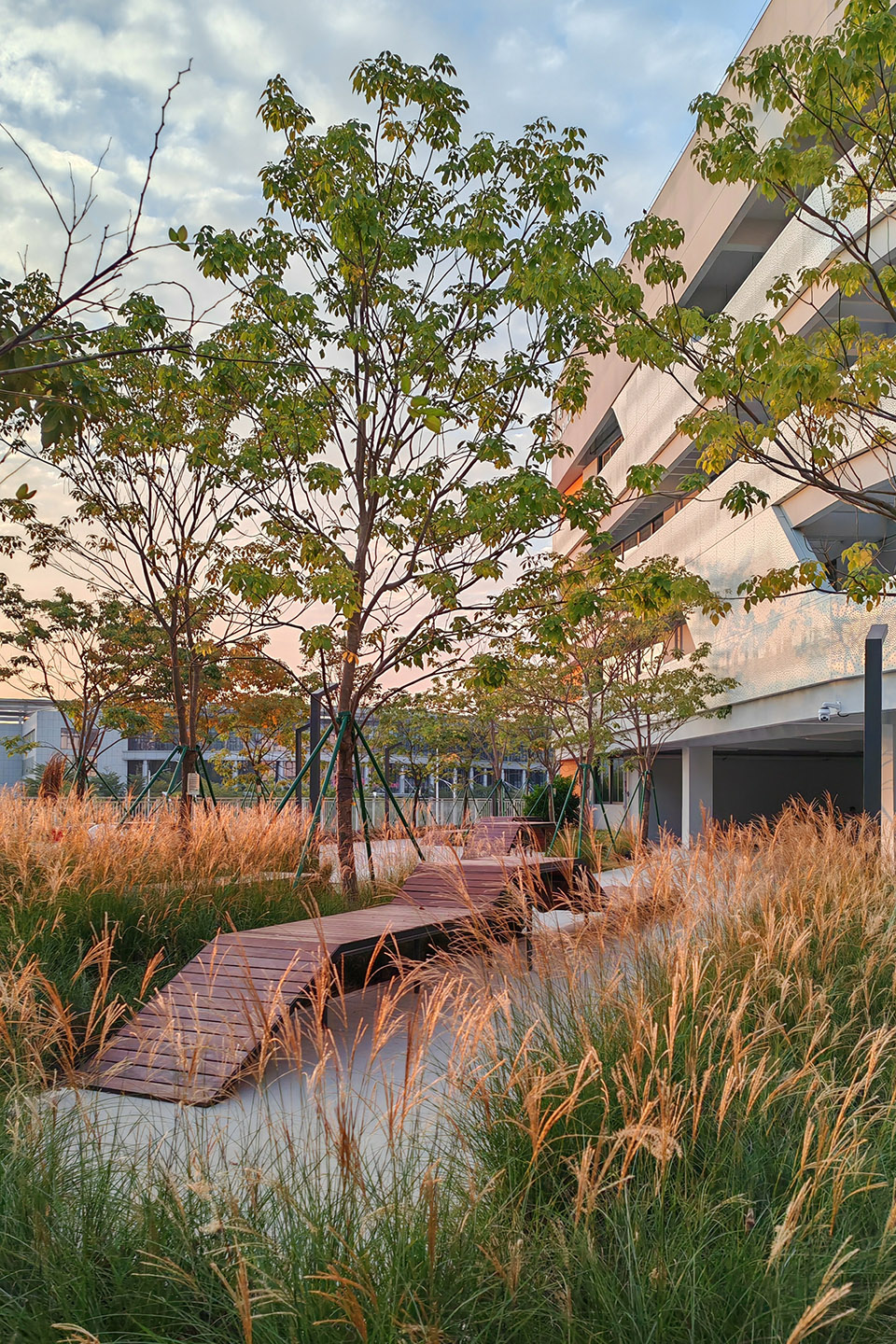 sustech affiliated experimental school by cube design