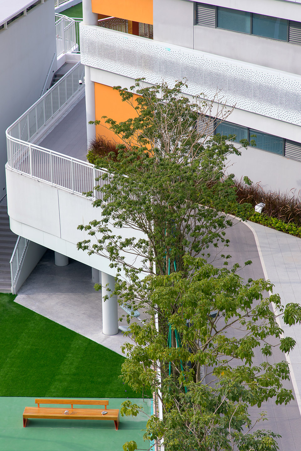 sustech affiliated experimental school by cube design