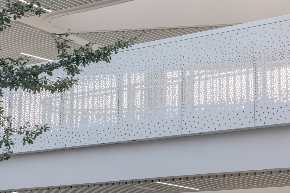 sustech affiliated experimental school by cube design