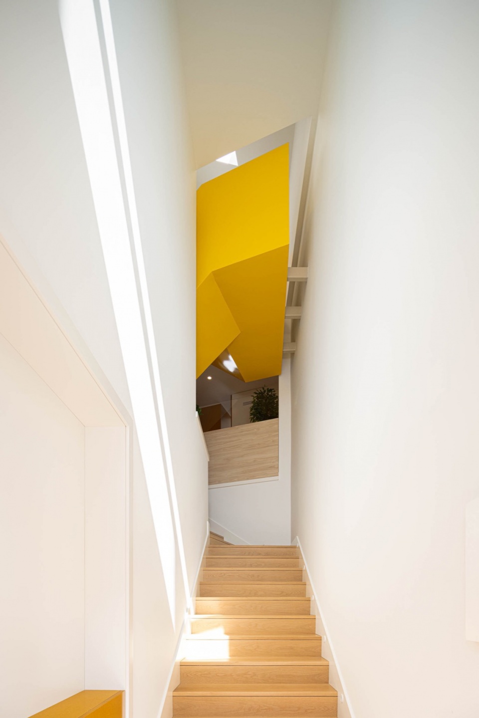 edificio amar by rema