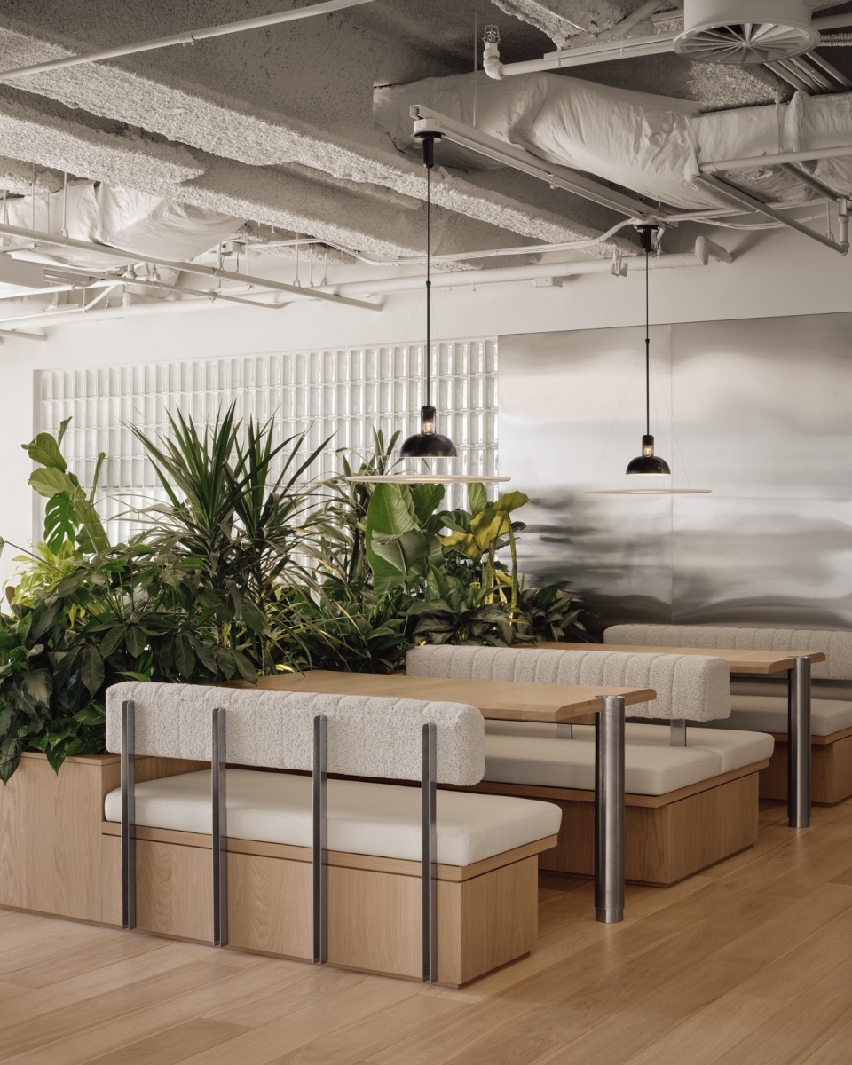 TEC Energy David Dworkind Architect