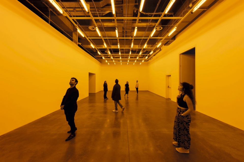 your unexpected encounter by olafur eliasson