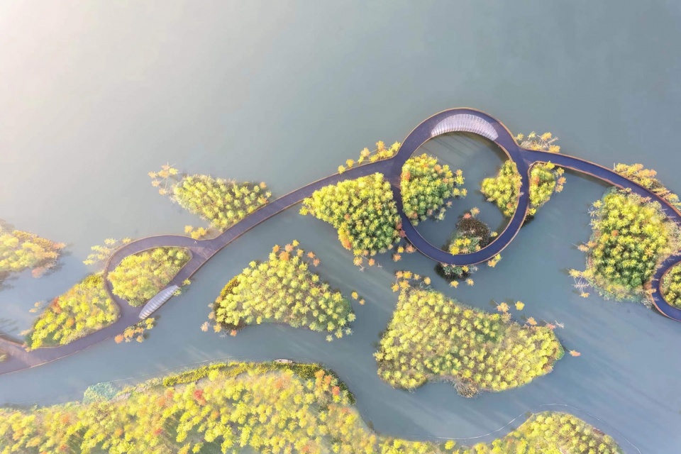 ecological restoration of tongjian lake park