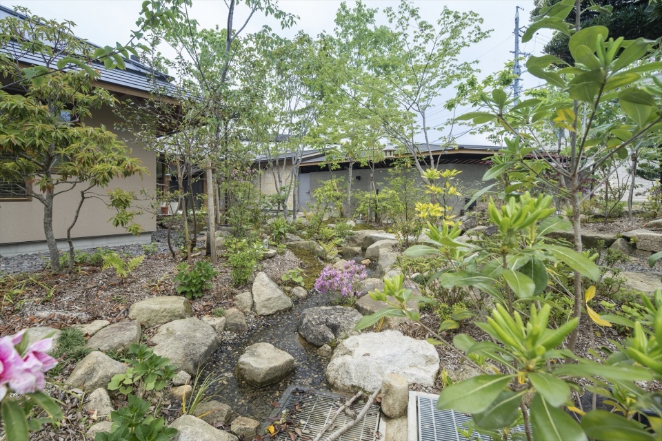 House with nature s blessings by TSC Architects