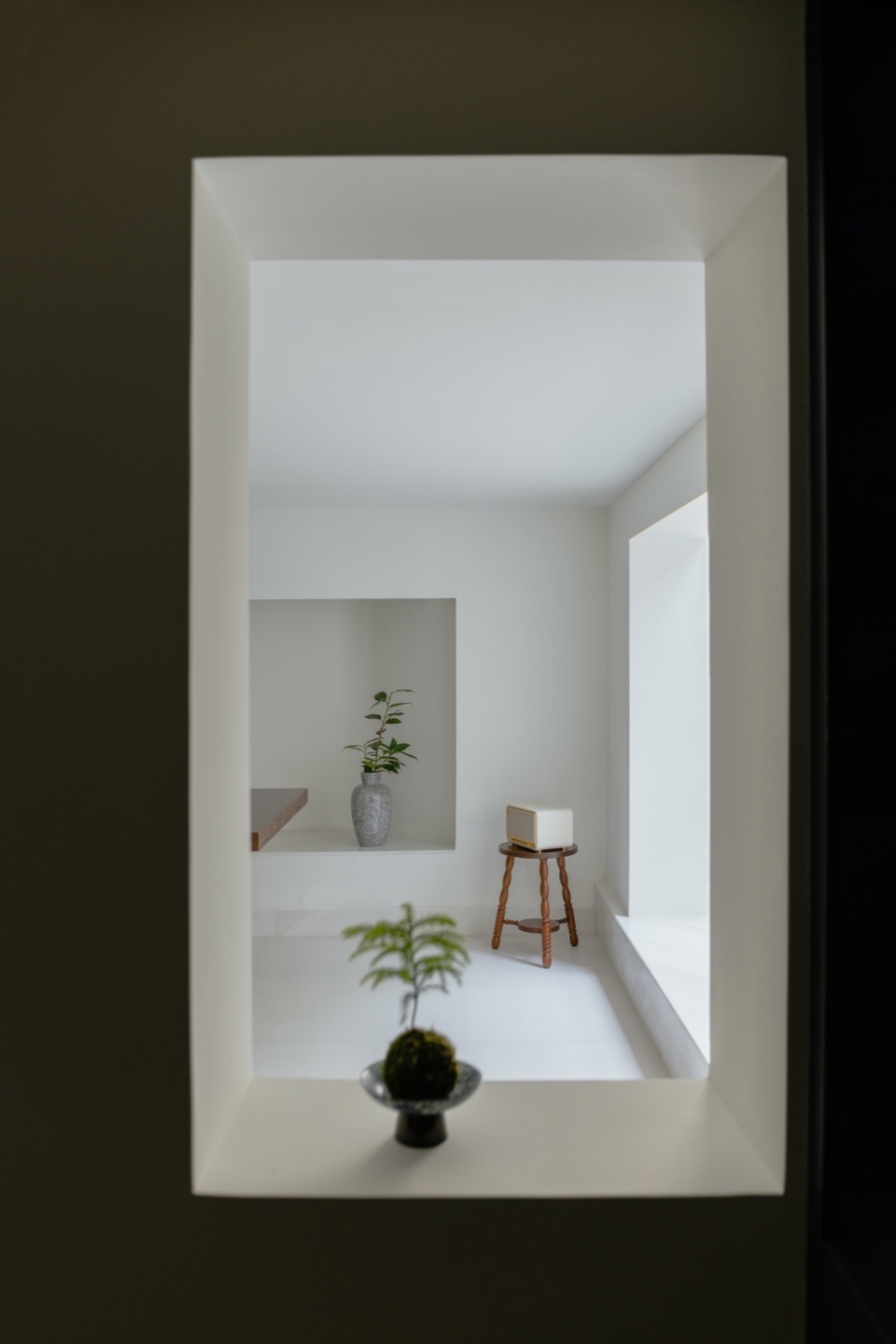A Home in Symbiosis with Nature