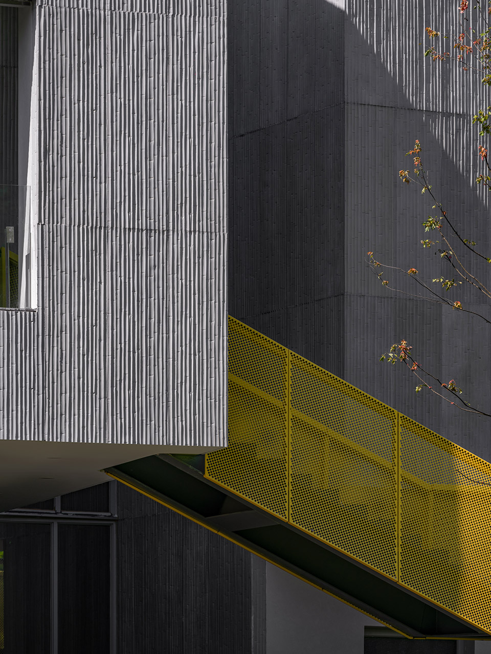 zhejiang green rural revival program by duchunyu team