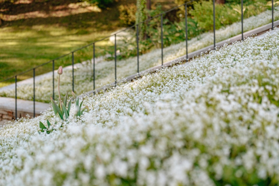 revitalisation of stephanies park by m2au