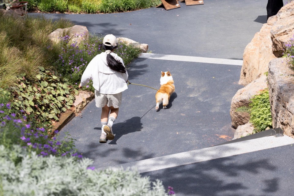 cpis new retail cluster landscape design by yudao landscape design