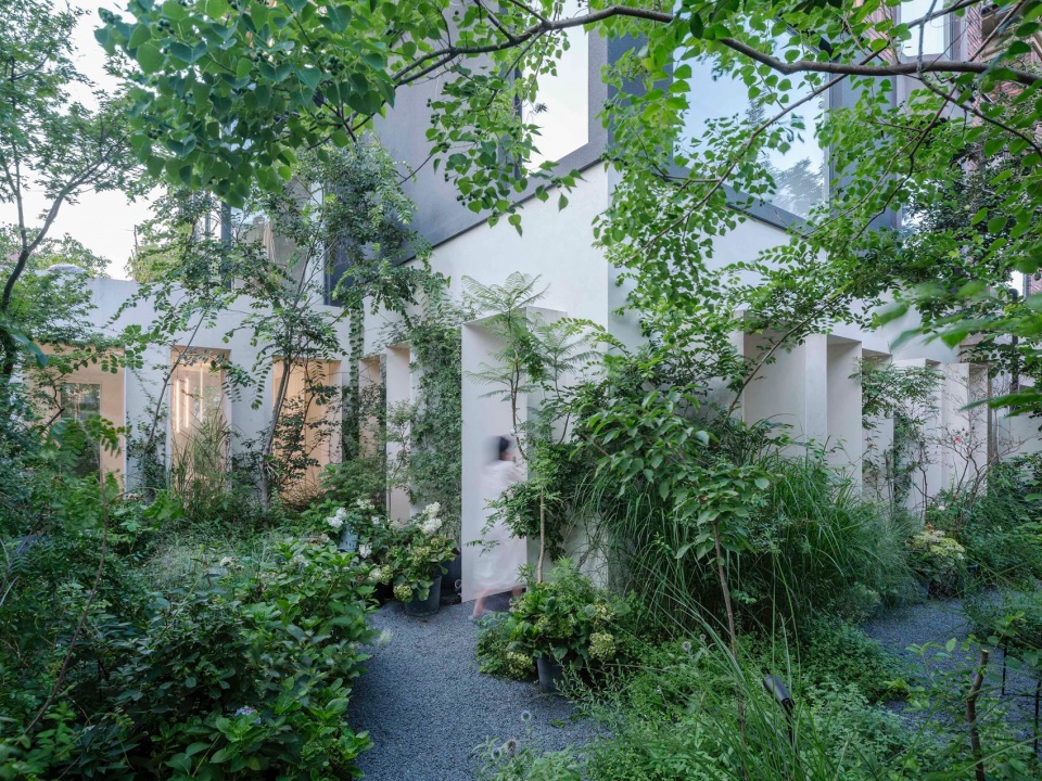 Forest Villa HAS design and research