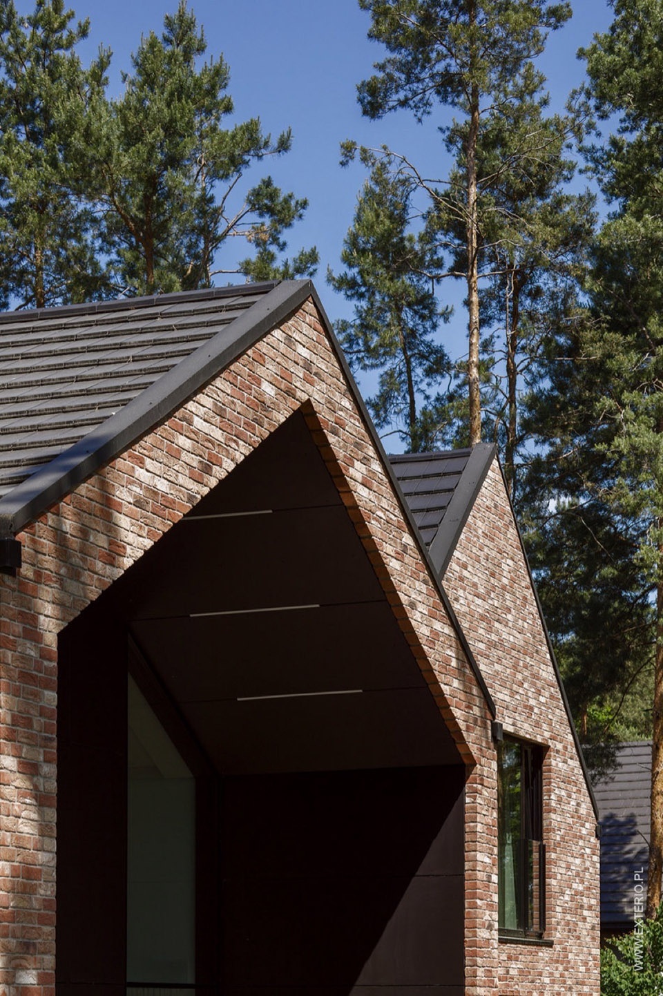 The House among the Trees Exterio architectural studio