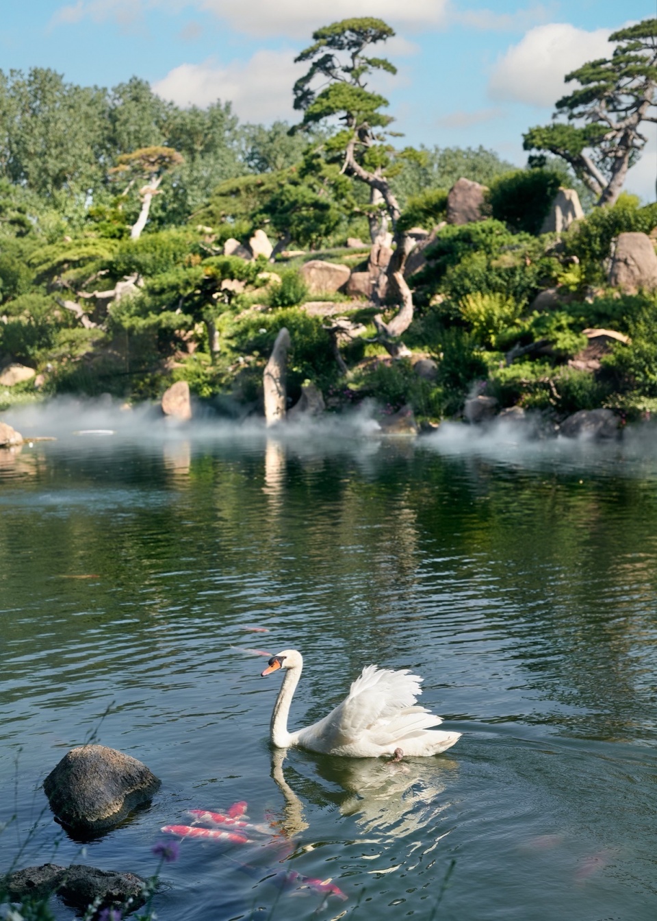 BLACKSWAN Restaurant