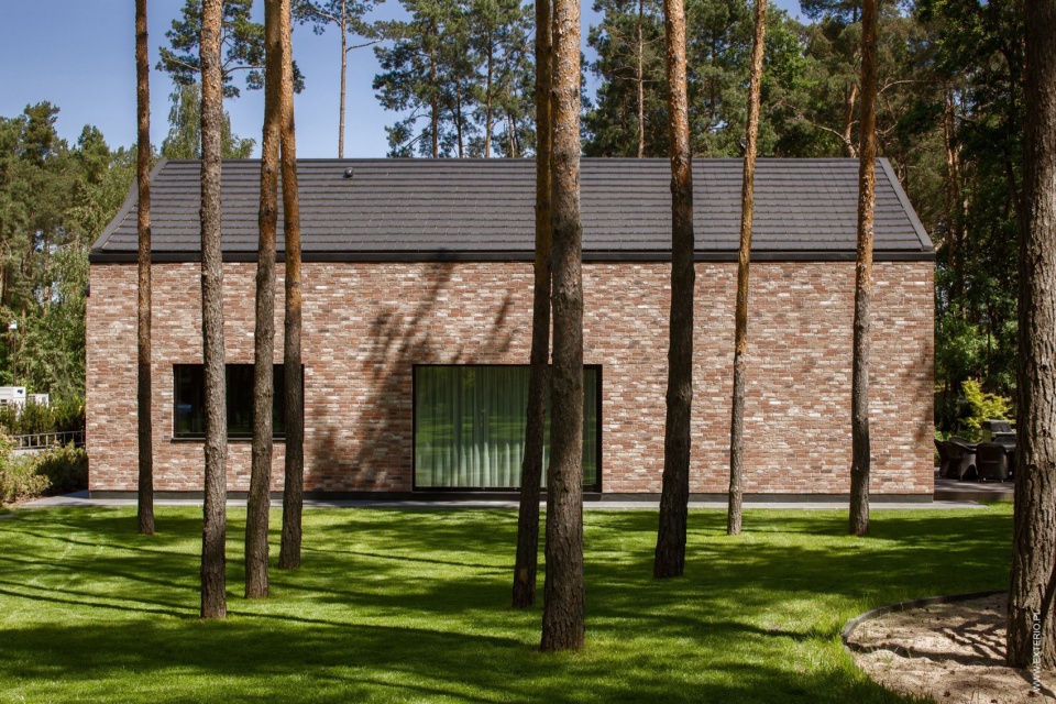 The House among the Trees Exterio architectural studio