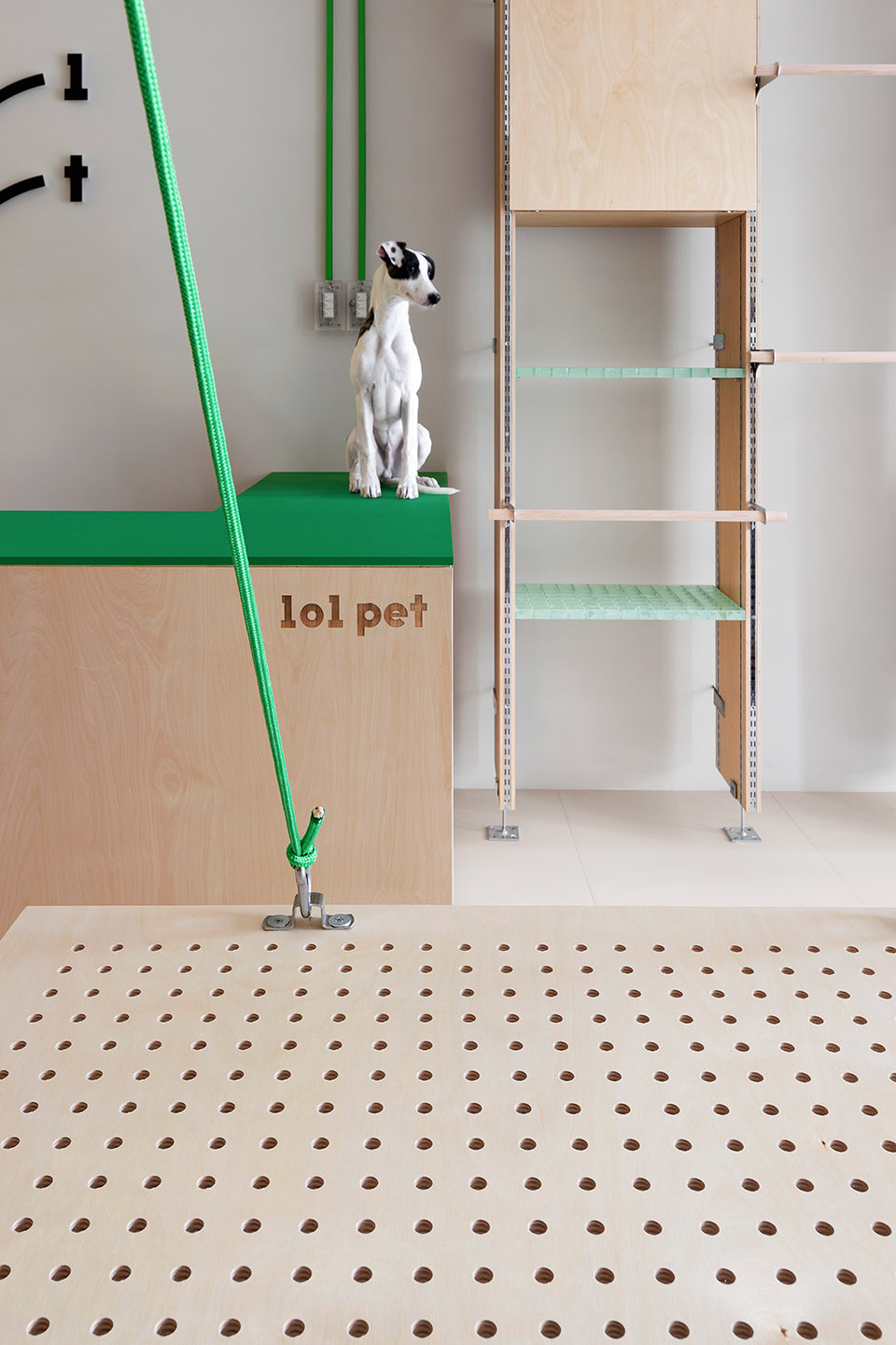 101 pet by informal design