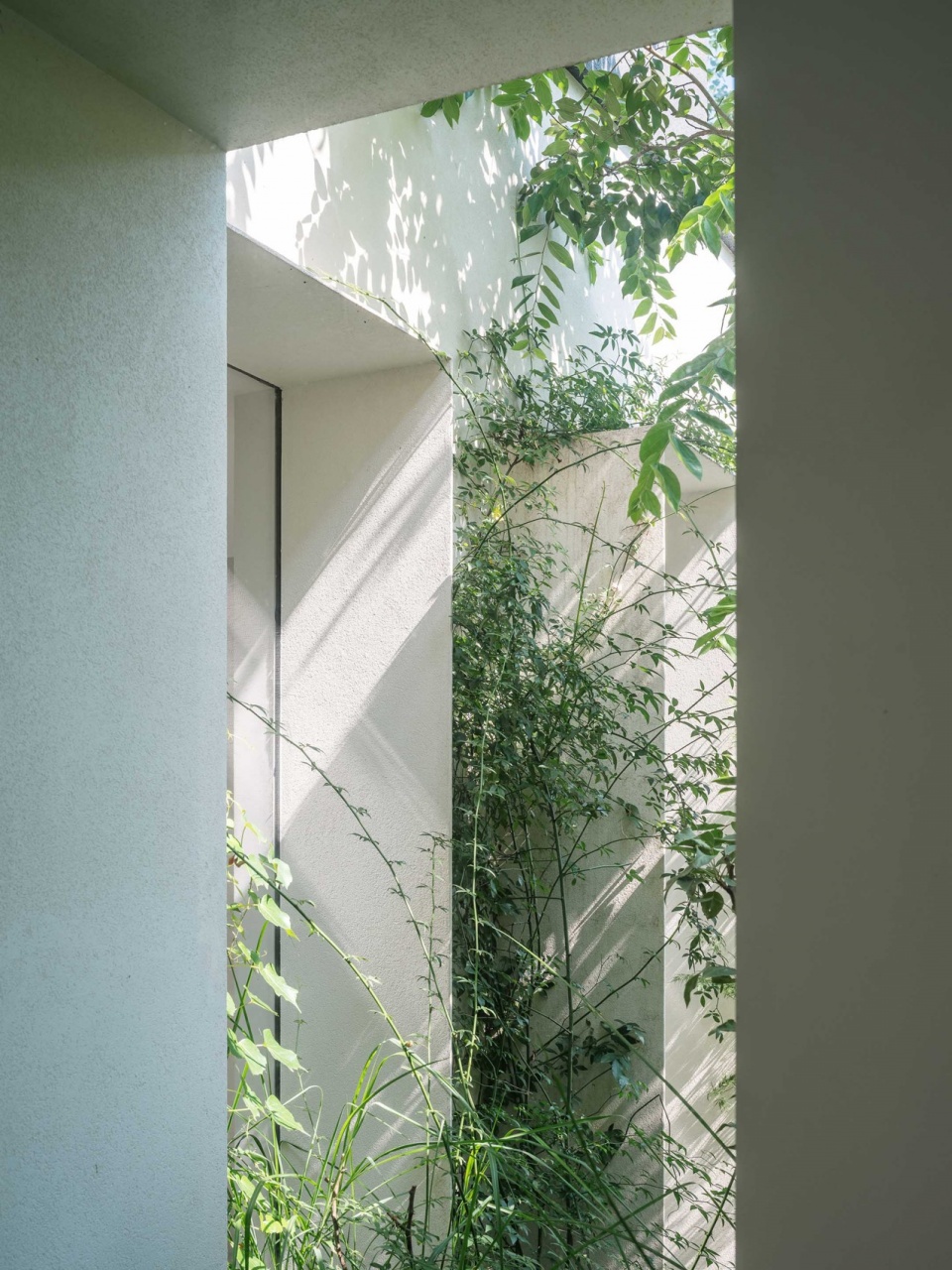 Forest Villa HAS design and research