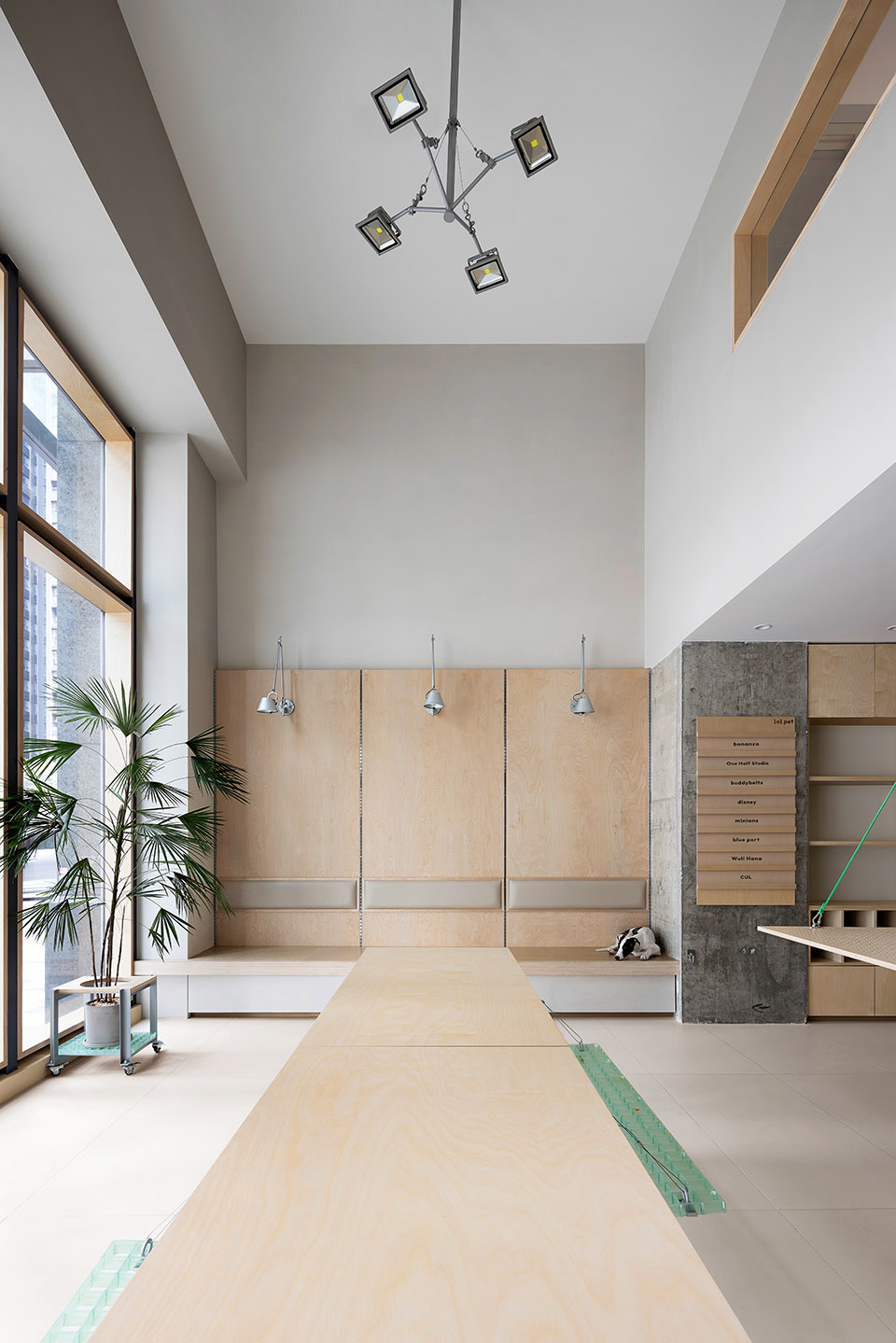101 pet by informal design