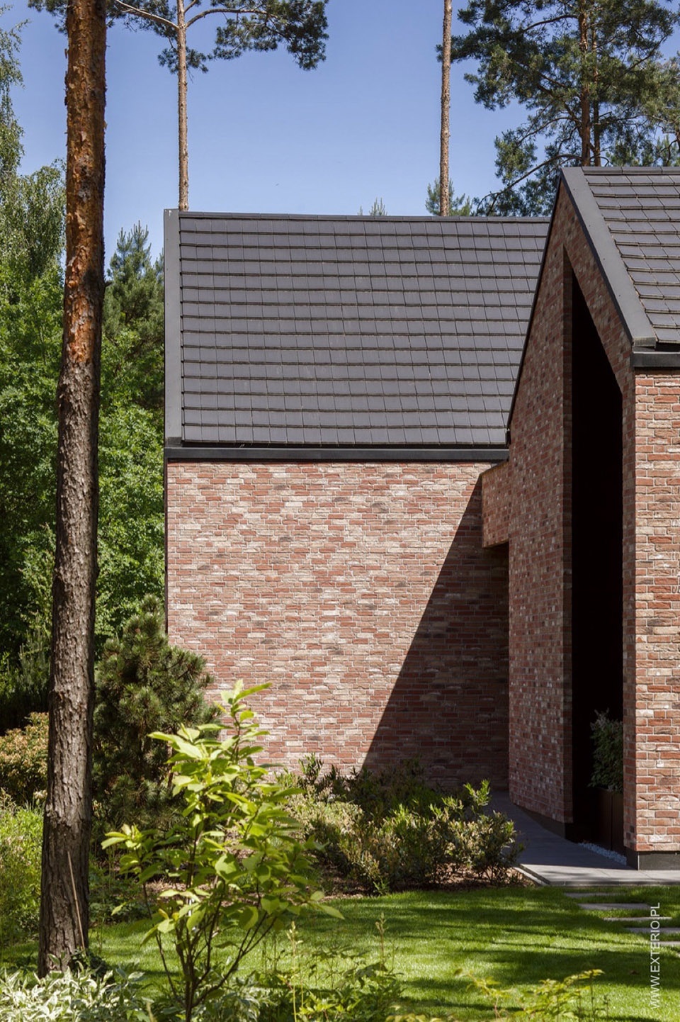 The House among the Trees Exterio architectural studio