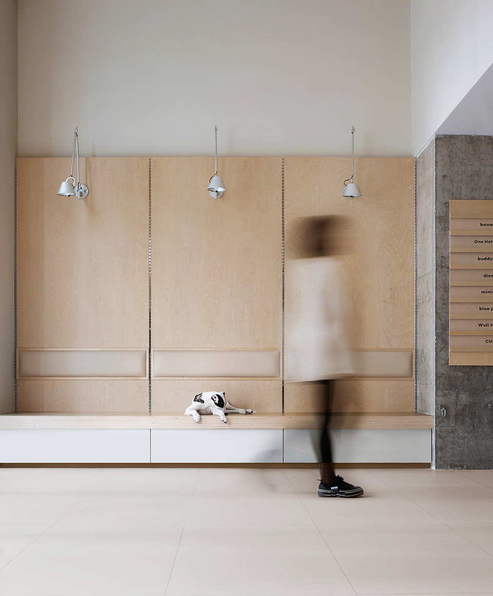 101 pet by informal design