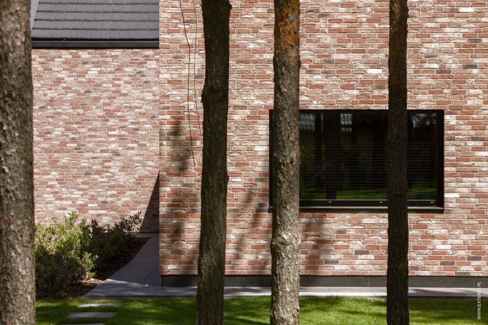 The House among the Trees Exterio architectural studio