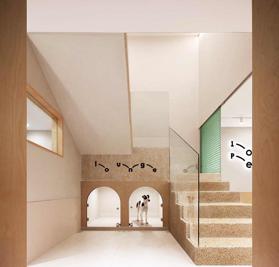 101 pet by informal design