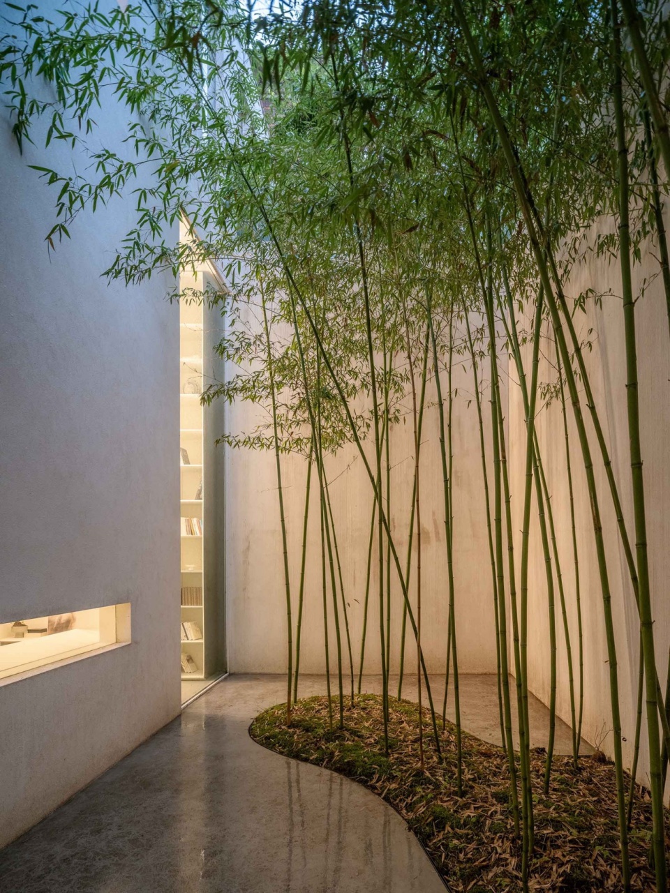 Forest Villa HAS design and research