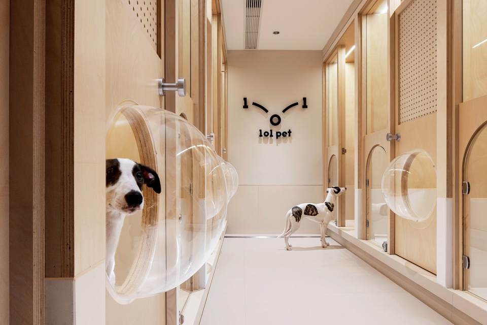 101 pet by informal design