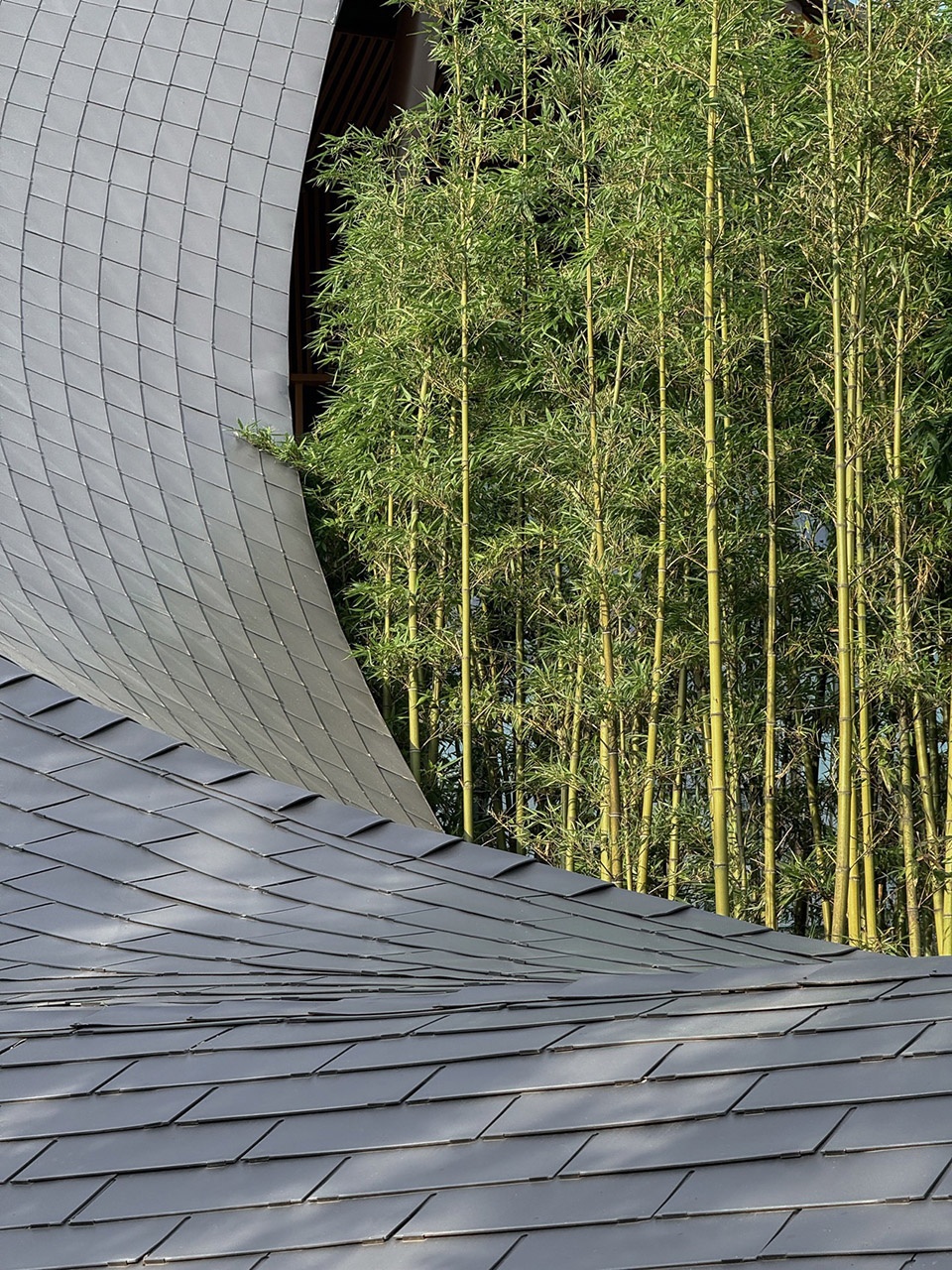 The Spine Resort Heilongtan China by AIM ARCHITECTURE