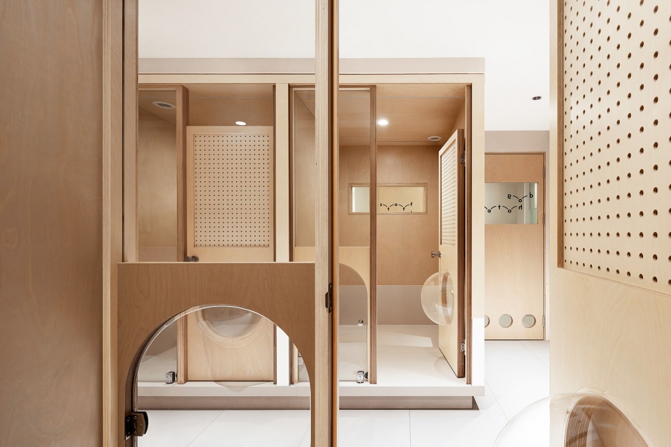 101 pet by informal design
