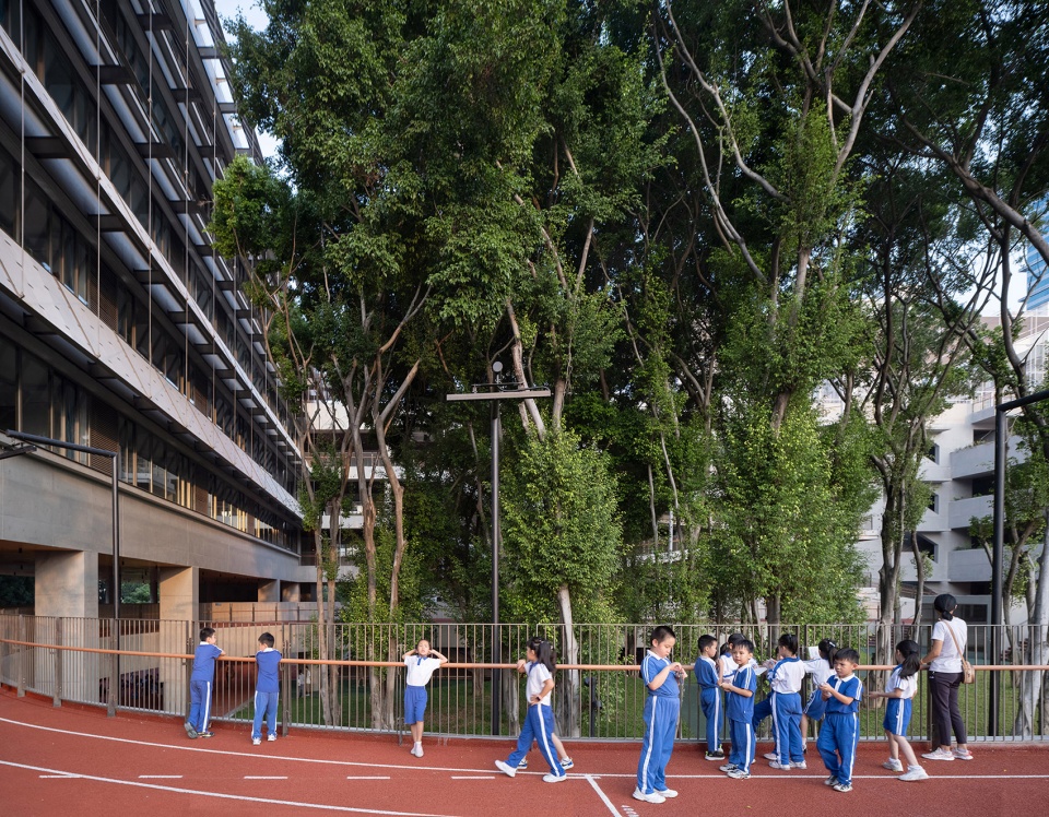 lai yuen foreign language primaray school by vector architect