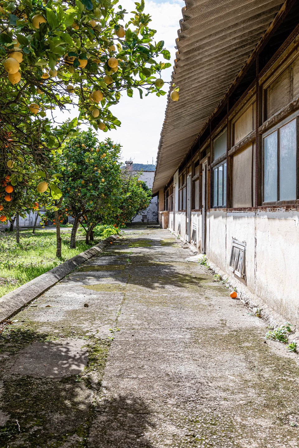 Sa Taronja by BEEF ARCHITEKTI