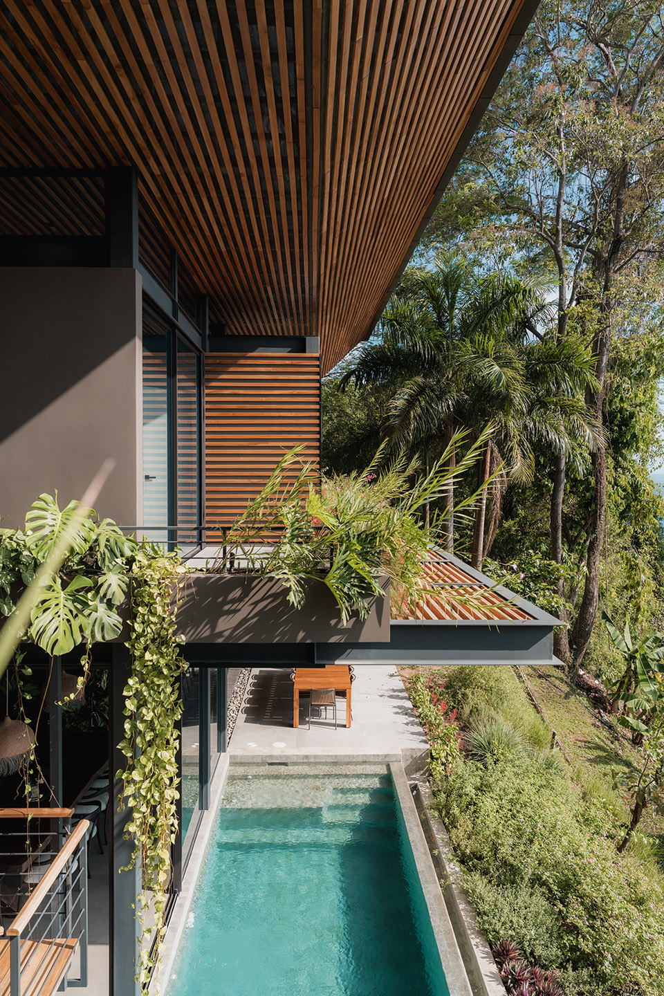 cascada de luz by studio saxe