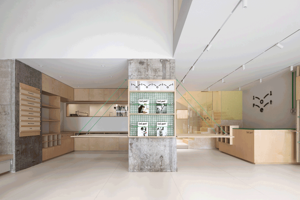 101 pet by informal design