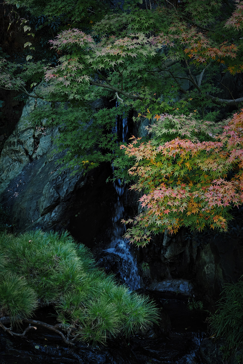 ruins of landscape by shanshan landscape studio