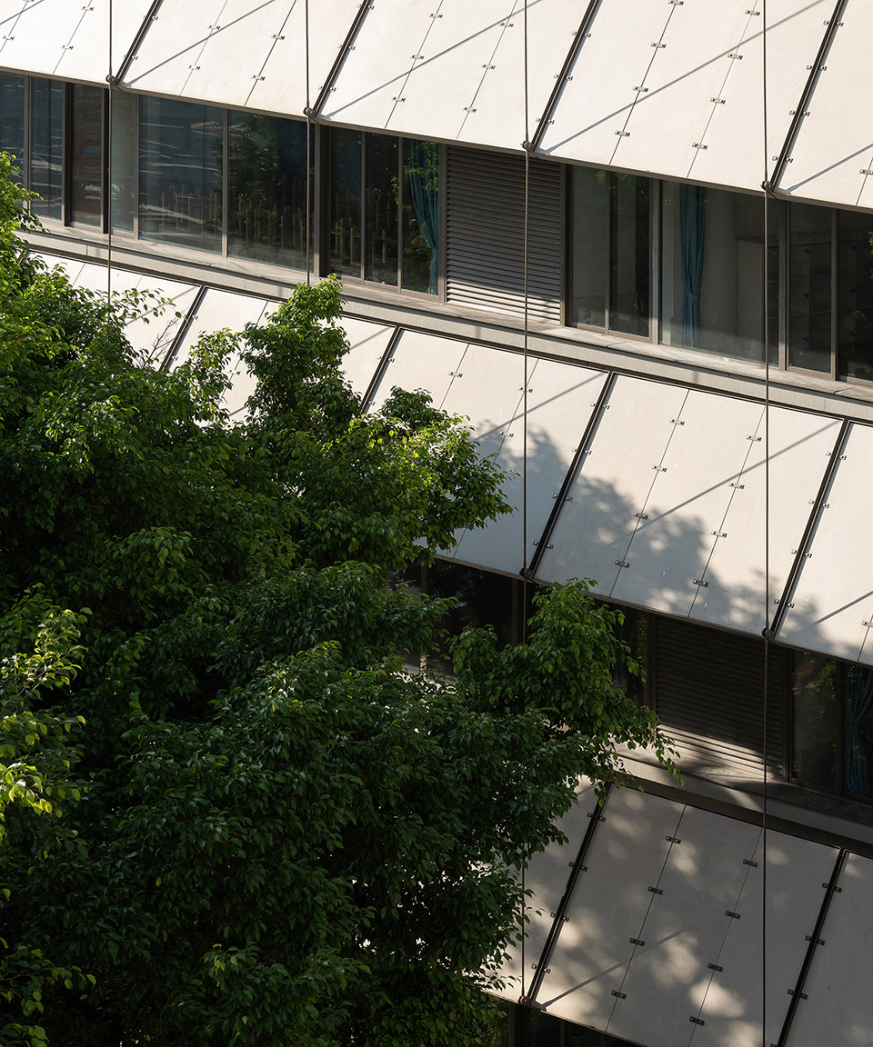 lai yuen foreign language primaray school by vector architect