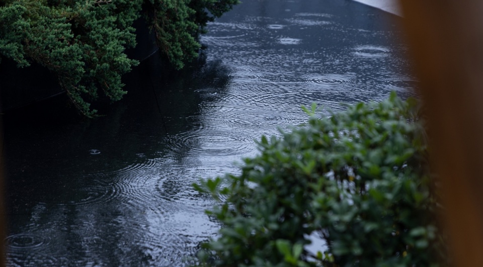 hangzhou yunlan valley by zsd