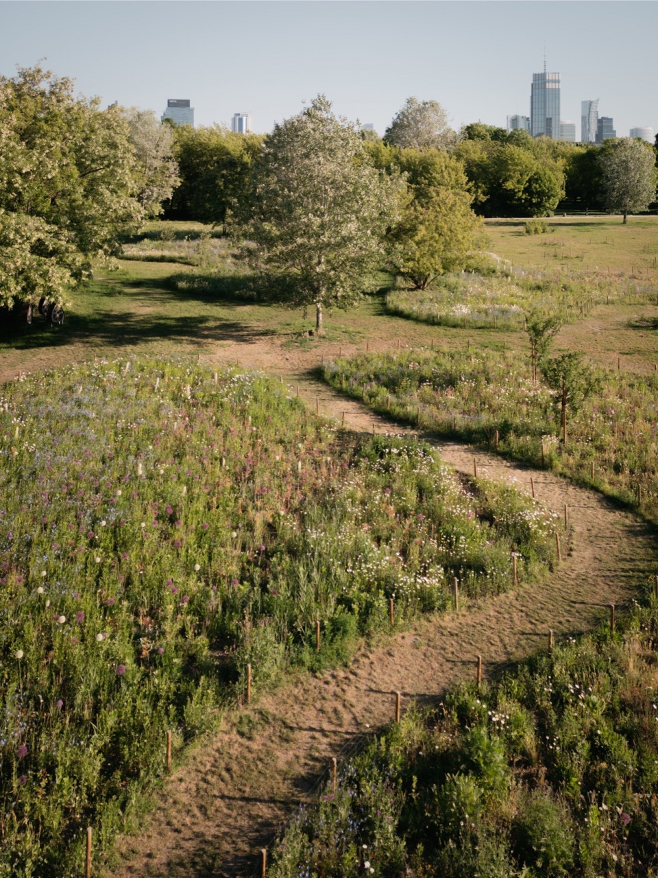 . Pole Mokotowskie Park in Warsaw project WXCA credits WXCA A.Borun T.Wieteska