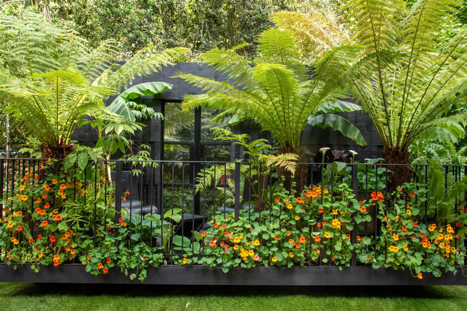 the addleshaw goddard junglette garden by mike mcmahon studio