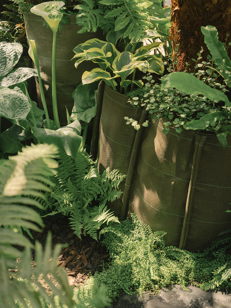 the addleshaw goddard junglette garden by mike mcmahon studio