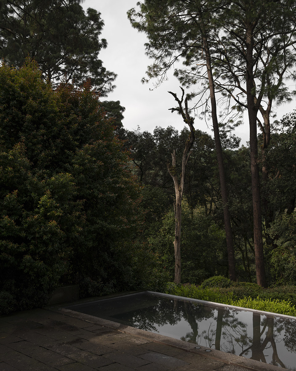 casa en el bosque by direccion architecture and interior design
