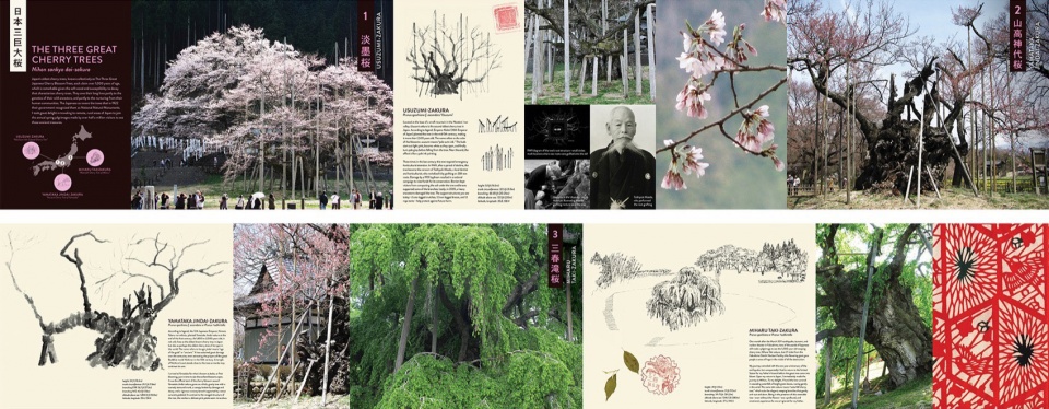 Sakura Orihon by Ron Henderson LIRIO Landscape Architecture